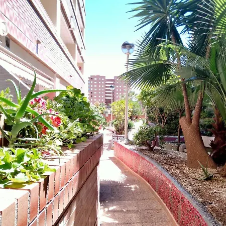 Apartment Acv - Playa Coral I-2ª Linea Planta 3 Norte *